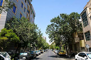 تهران نو